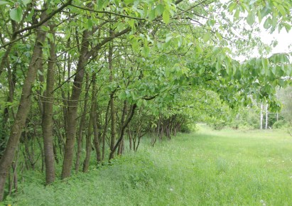 działka na sprzedaż - Leśnica (gw), Góra Świętej Anny
