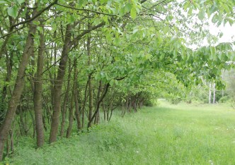 działka na sprzedaż - Opole, Żerkowice