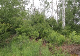 działka na sprzedaż - Komprachcice, Ochodze